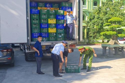 Cao Bằng, Nghệ An thu giữ gần 9 tấn thực phẩm đã bốc mùi đang trên đường đi tiêu thụ