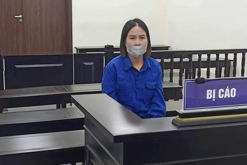 Dụ góp vốn buôn mỹ phẩm rồi chiếm đoạt hơn 12 tỷ đồng
