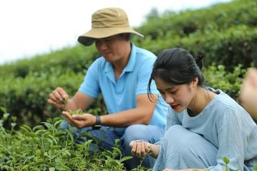 Sản phẩm OCOP nhiều nhưng thiếu đặc trưng, hướng đi nào cho phát triển du lịch nông nghiệp Việt?