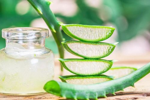 Công dụng tuyệt vời của nha đam trong làm đẹp