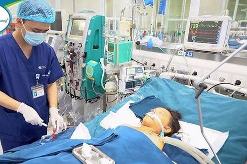 Bé trai 10 tuổi tử vong sau khi bị ong vò vẽ đốt hơn 100 nốt