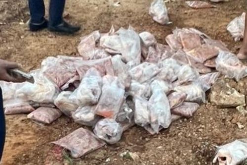 Kinh hoàng 8.800 kg chân giò lợn nhập lậu, thịt gà bốc mùi nồng nặc vẫn mang đem bán kiếm lời