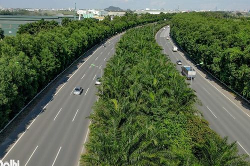 Ngắm nhìn hàng cây xanh mát ở đại lộ dài và hiện đại nhất Việt Nam