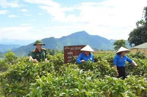 Đoàn Kinh tế - Quốc phòng 4 (Quân khu 4): Giúp đồng bào vùng biên xóa đói, giảm nghèo