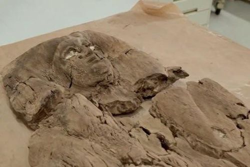Kỳ bí xác ướp mỹ nhân 'nằm nhầm' trong mộ Pharaoh Ai Cập