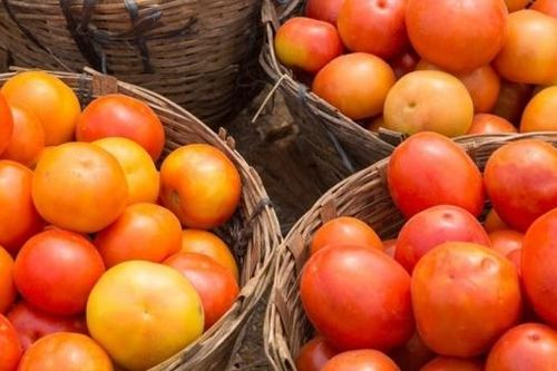 Những dưỡng chất cần thiết cho cơ thể trong quả cà chua sống và khi nấu chín
