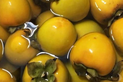 Ăn nhiều hồng ngâm, một bệnh nhân phải nhập viện phẫu thuật