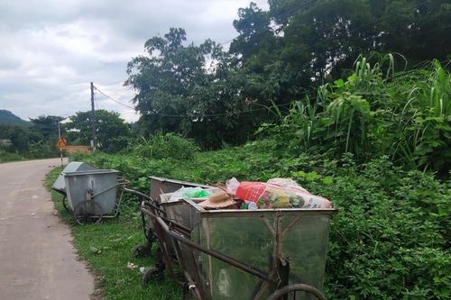 Xây dựng văn minh sinh thái trong ứng xử với tự nhiên