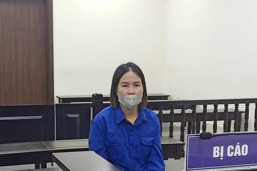 Tham lãi cao, 12 người mất tiền tỷ vào tay 'nữ quái'
