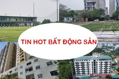 Kiểm tra 'thủ phủ' chung cư mini, đấu giá hai khu đất nghìn tỷ ở Hà Nội