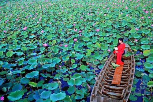 Checkin Đồng Tháp - Đất Sen hồng