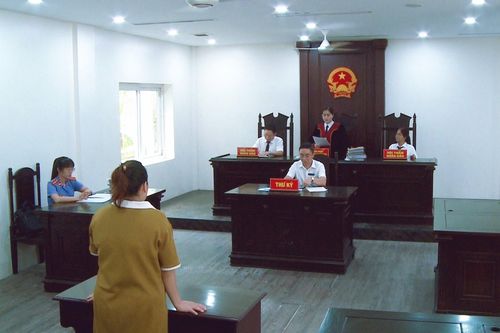Xét xử vụ án mang thai hộ vì mục đích thương mại