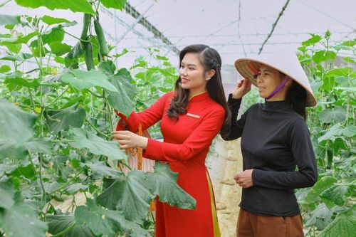 Nguồn vốn Agribank hỗ trợ phát triển nông sản sạch, nông sản đạt tiêu chuẩn OCOP