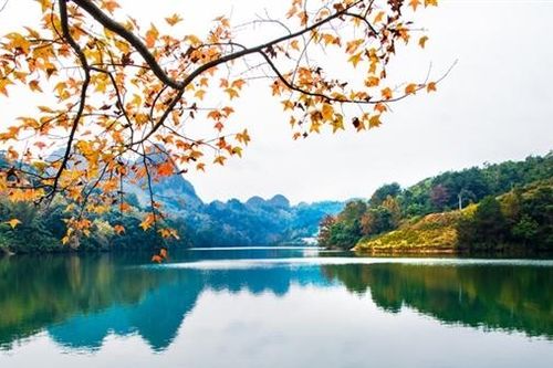 Bơi Mùa Thu