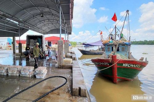 Hải Phòng: Được mùa tép biển, ngư dân kiếm tiền triệu mỗi ngày