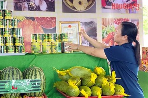 Hậu Giang phát triển du lịch nông nghiệp gắn chặt với tiêu thụ sản phẩm