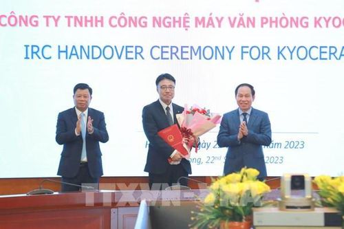 Sức bật thành phố Cảng