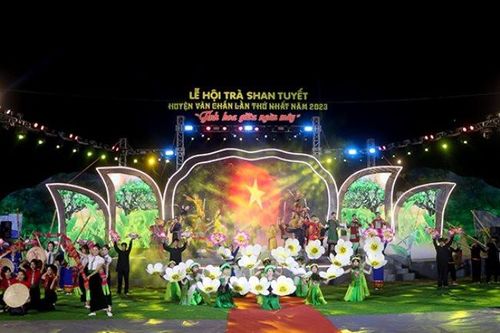 Trà Shan tuyết - 'Tinh hoa giữa ngàn mây'