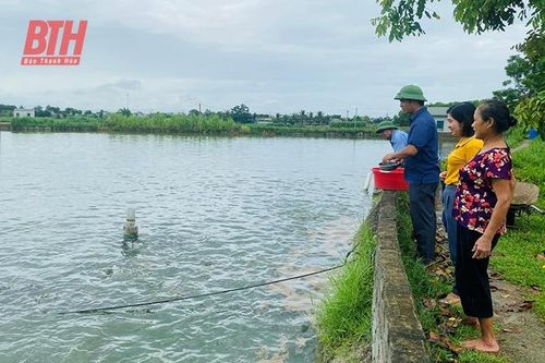 Triệu Sơn tập trung phát triển nuôi trồng thủy sản