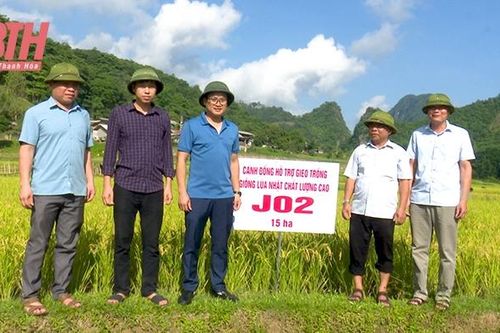 Quan Sơn quan tâm hỗ trợ Viêng Xay phát triển kinh tế