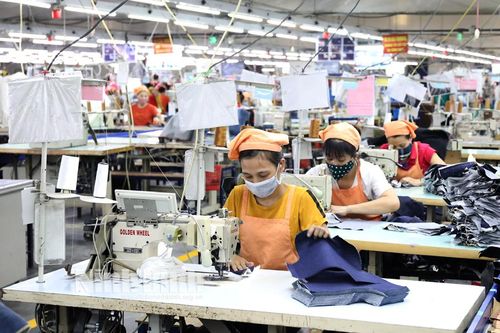 Thị trường lao động nhiều khởi sắc