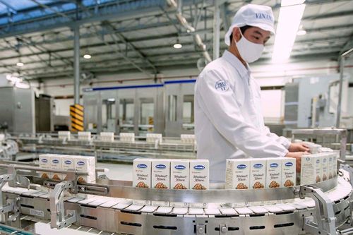Cổ phiếu VNM lên mức cao nhất từ đầu năm, một thành viên SCIC thoái toàn bộ vốn khỏi Vinamilk