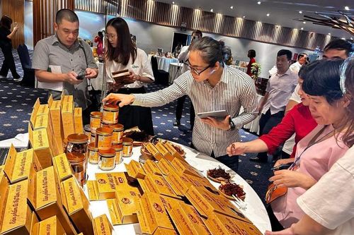 Tìm cách khôi phục tăng trưởng xuất khẩu vào thị trường Phần Lan