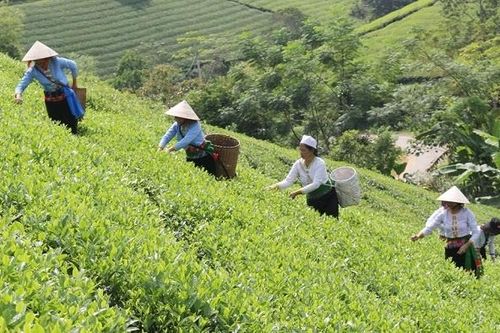 Khởi sắc nông thôn bản làng Phú Thọ