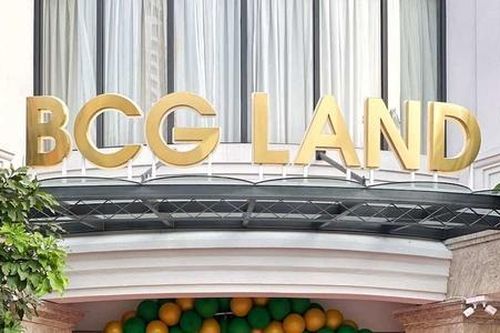 Trước 'giờ G' lên sàn UPCoM, BCG Land bị tạm dừng thủ tục hải quan với hàng hóa xuất nhập khẩu
