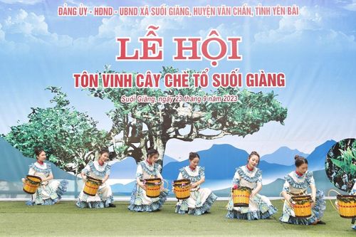 Độc đáo lễ cúng cây chè tổ của người Mông Suối Giàng, Yên Bái