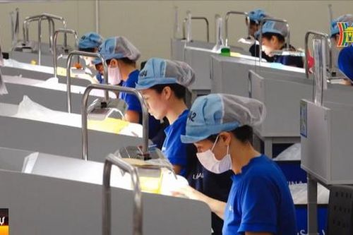 Việt Nam tăng 4 bậc về tự do kinh tế