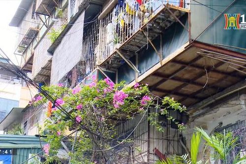 Những lưu ý khi mua - thuê chung cư, nhà tập thể cũ