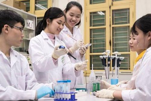 Nhà khoa học xuất sắc làm việc tại Đại học Quốc gia Hà Nội được hỗ trợ từ 3 tỉ đồng