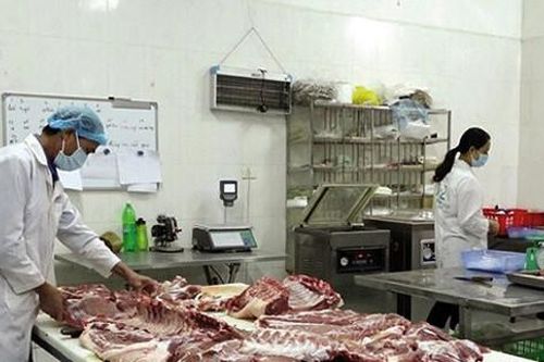 Chăn nuôi an toàn sinh học theo chuỗi liên kết