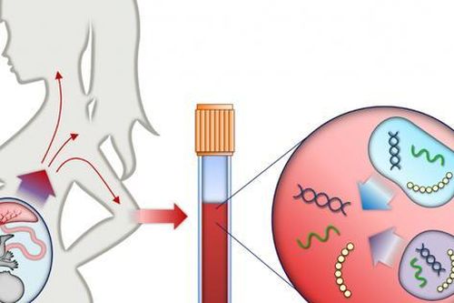 Xét nghiệm huyết thống trước sinh có gây nguy hiểm cho thai nhi không?