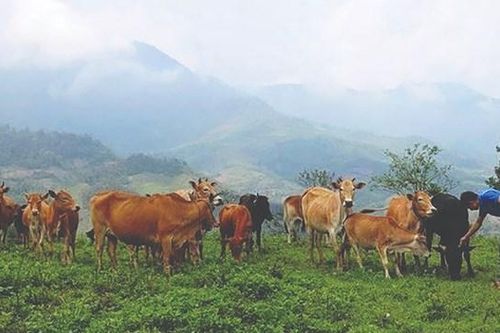 Na Ngoi vươn mình