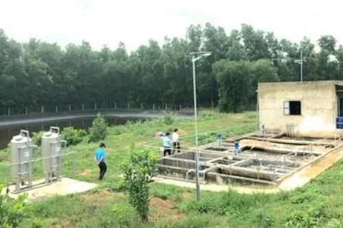 Cơ sở chăn nuôi phải thực hiện thủ tục môi trường gì?