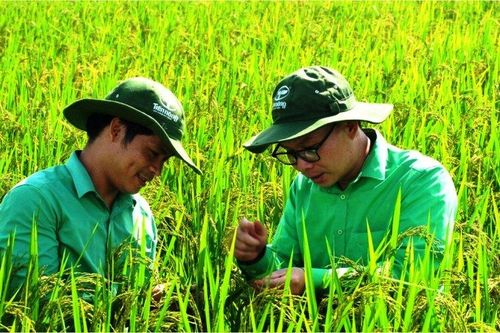Nông dân Thanh Hóa: Chủ thể phát triển nông nghiệp, xây dựng nông thôn mới