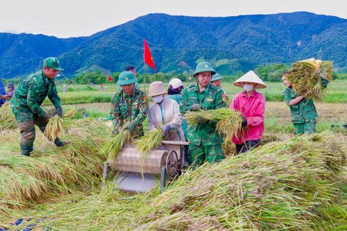 Sắc áo xanh giữa 'mùa vàng' nơi biên giới