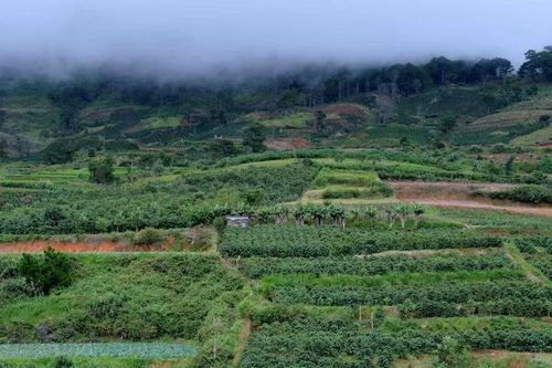 Nghị quyết số 24-NQ/TW về biến đổi khí hậu: Một thập kỷ hoàn thiện hành lang pháp lý