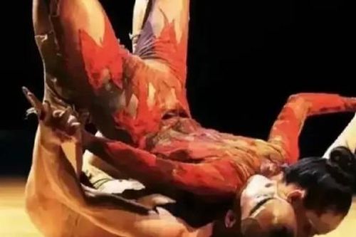 Dương Lệ Bình bị yêu cầu cấm biểu diễn vì quá dung tục
