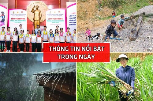 Nghệ An: Thông tin nổi bật ngày 24/9