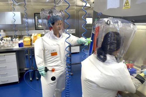 Nhà khoa học 'người dơi' Trung Quốc cảnh báo virus Corona có thể lại bùng phát