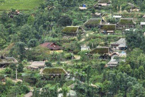 Những mái nhà cọ phủ đầy rêu của người Dao ở Xà Phìn (Vị Xuyên, Hà Giang)