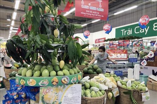 Doanh nghiệp bán lẻ và chiến lược thích ứng với thị trường