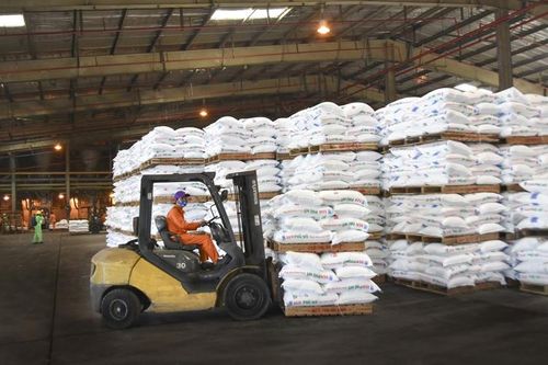 Giá phân bón liệu có 'tăng sốc' như 2 năm trước?