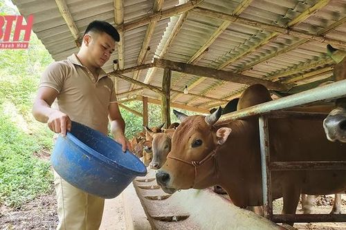 Mường Lát và bài toán 'trồng cây gì, nuôi con gì'?