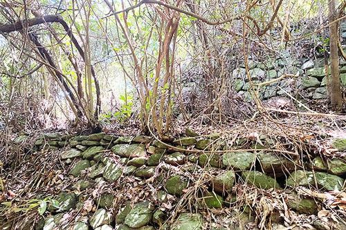 Bảo tồn và phát huy giá trị hai công trình phòng thủ triều Nguyễn