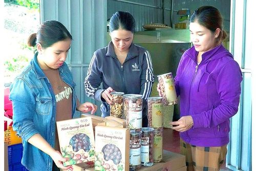 Kbang xây dựng chiến lược phát triển thương hiệu mắc ca