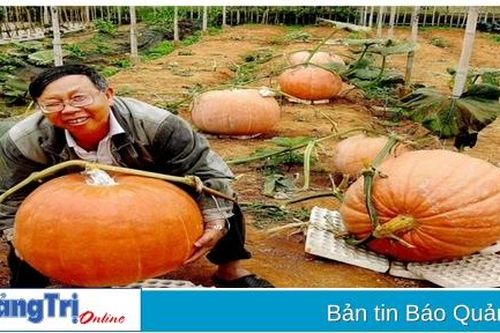 Vườn rau, quả lạ ở Đà Lạt